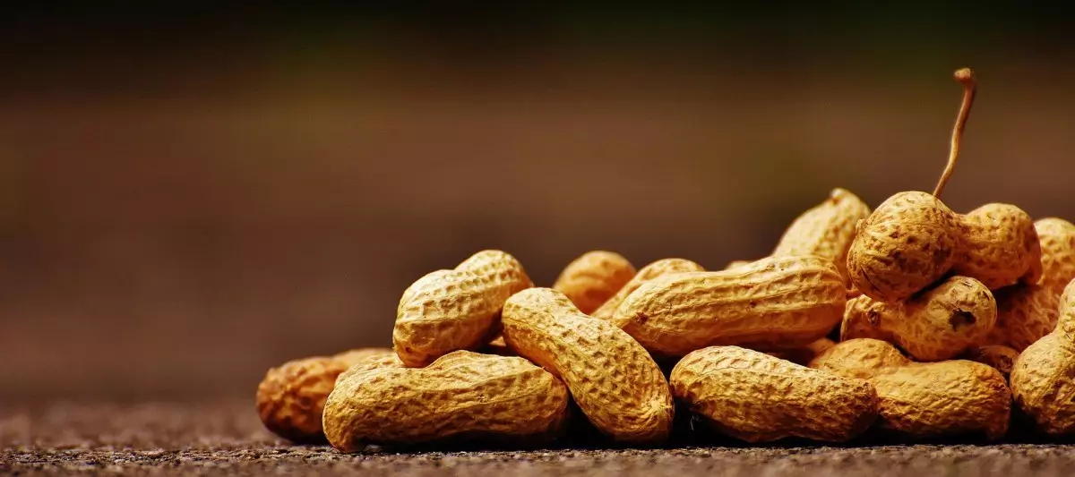  At drømme om peanuts: Hvad betyder det?