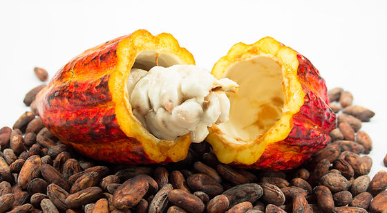  Sognare il Cacao: cosa significa?