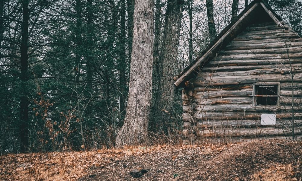 Soñar con una casa de madera: ¿qué significa?