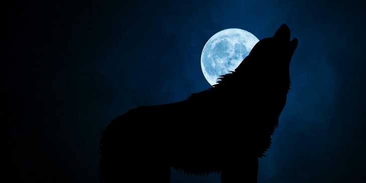  Sen o vlkodlakovi: Co to znamená?