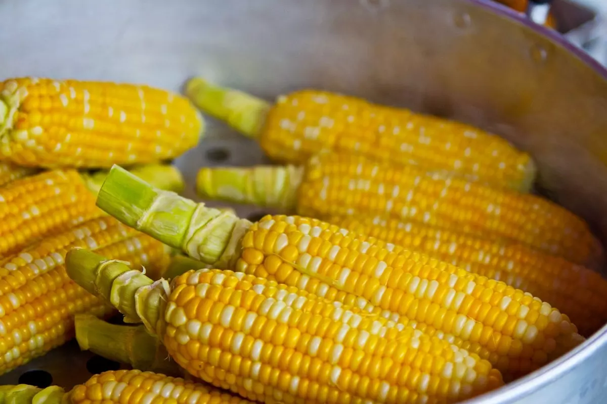  Drømmer du om majs: Hvad betyder det?